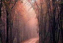 哈曼：萨内可能是拜仁最好的球员，但他并不总是能展现这一点.