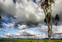 雷火电竞官网：布朗尼被下放到发展联盟 有望本周日迎来首秀.