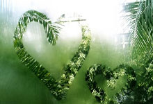 [天下足球]皇马击败多特 第15次问鼎欧冠.