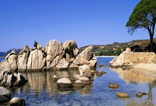 战平韩国队,中国女足无缘巴黎奥运会,主帅水庆霞赛后发声环球时报.